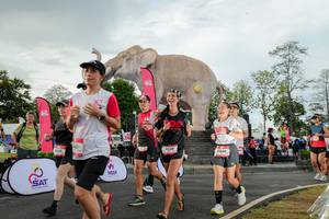 BIB: 
                            <button type="button" onclick="openModal(26528344)" class="btn btn-primary btn-sm float-right btn-popup" data-toggle="modal" data-target=".modal-high-quality">
                        <i class="fas fa-shopping-cart"></i> Add to Cart
                    </button>
                                            <button type="button" onclick="isThisMe(26528344, true)" class="btn btn-success btn-sm float-right btn-popup btn-isme hidden" data-toggle="tooltip" data-placement="bottom" title="นี่คือรูปของคุณใช่ไหม คลิกที่นี่เพื่อเอาเข้าอัลบั้ม">
                        <i class="fas fa-plus"></i> Add to album
                    </button>
                    <button type="button" onclick="isThisMe(26528344, false)" class="btn btn-warning btn-sm float-right btn-popup btn-isnotme hidden">
                        <i class="fas fa-ban"></i> Remove from album
                    </button>